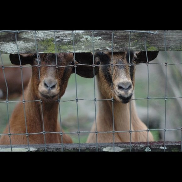 Meet your Posher, Tracey - Picture 11 of 14